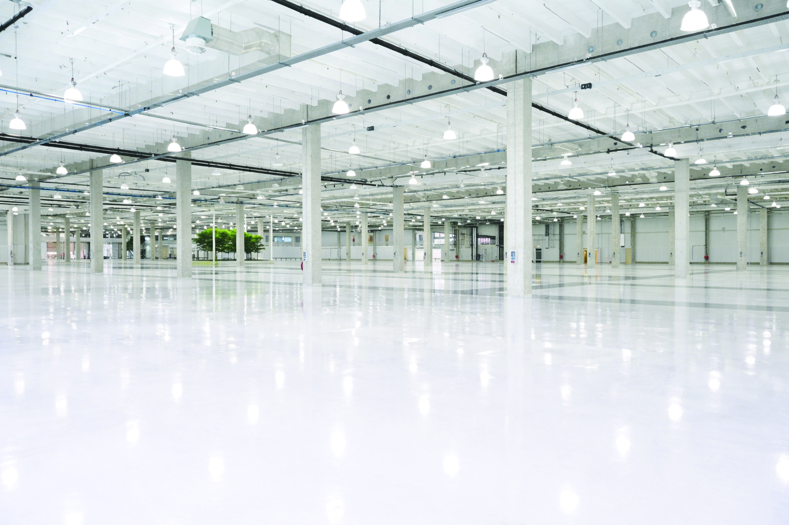 True Light Project 1