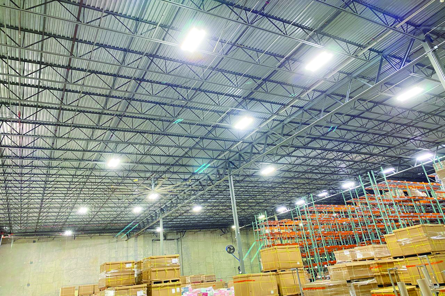 True Light Project 4