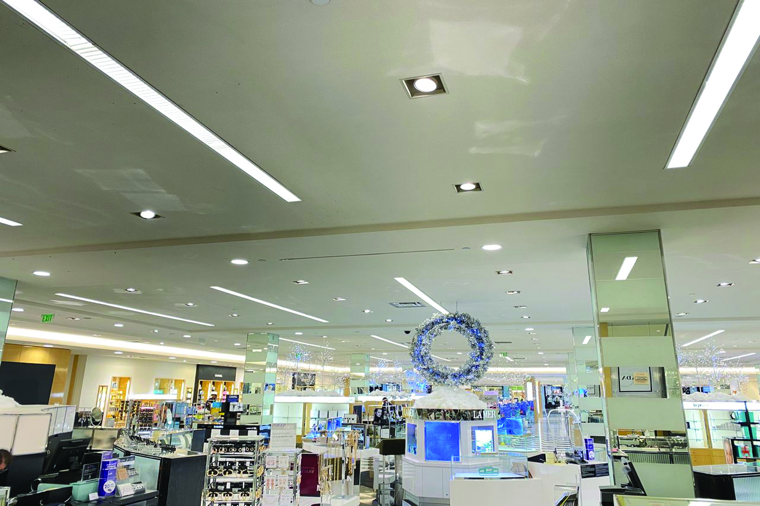 True Light Project 5