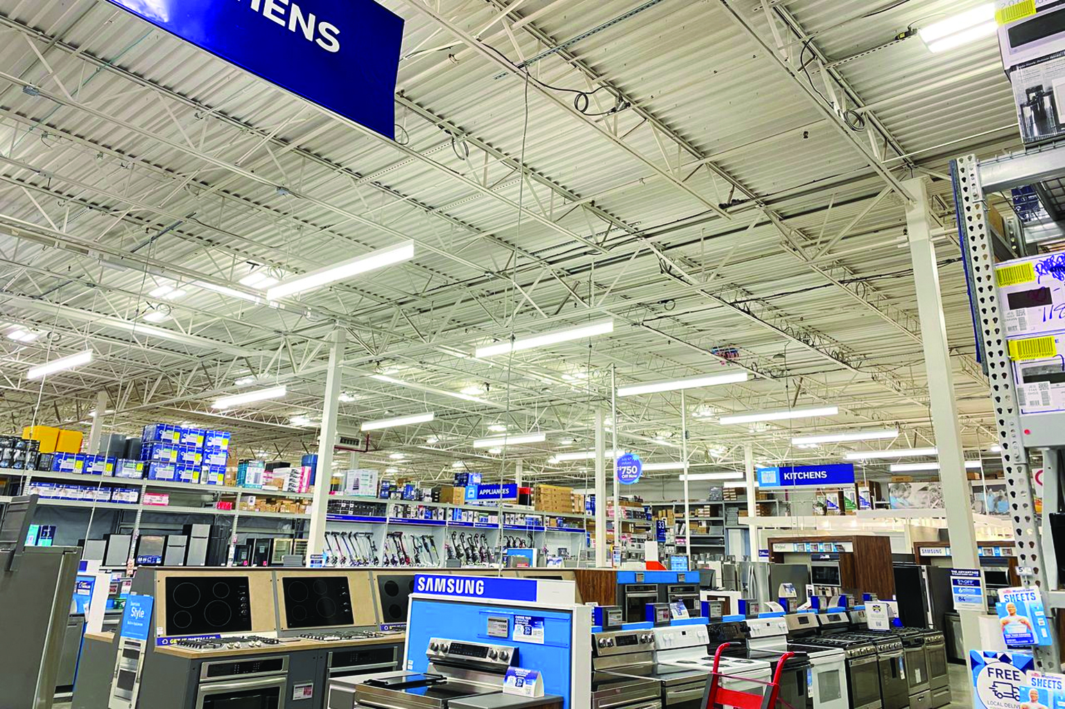 True Light Project 7