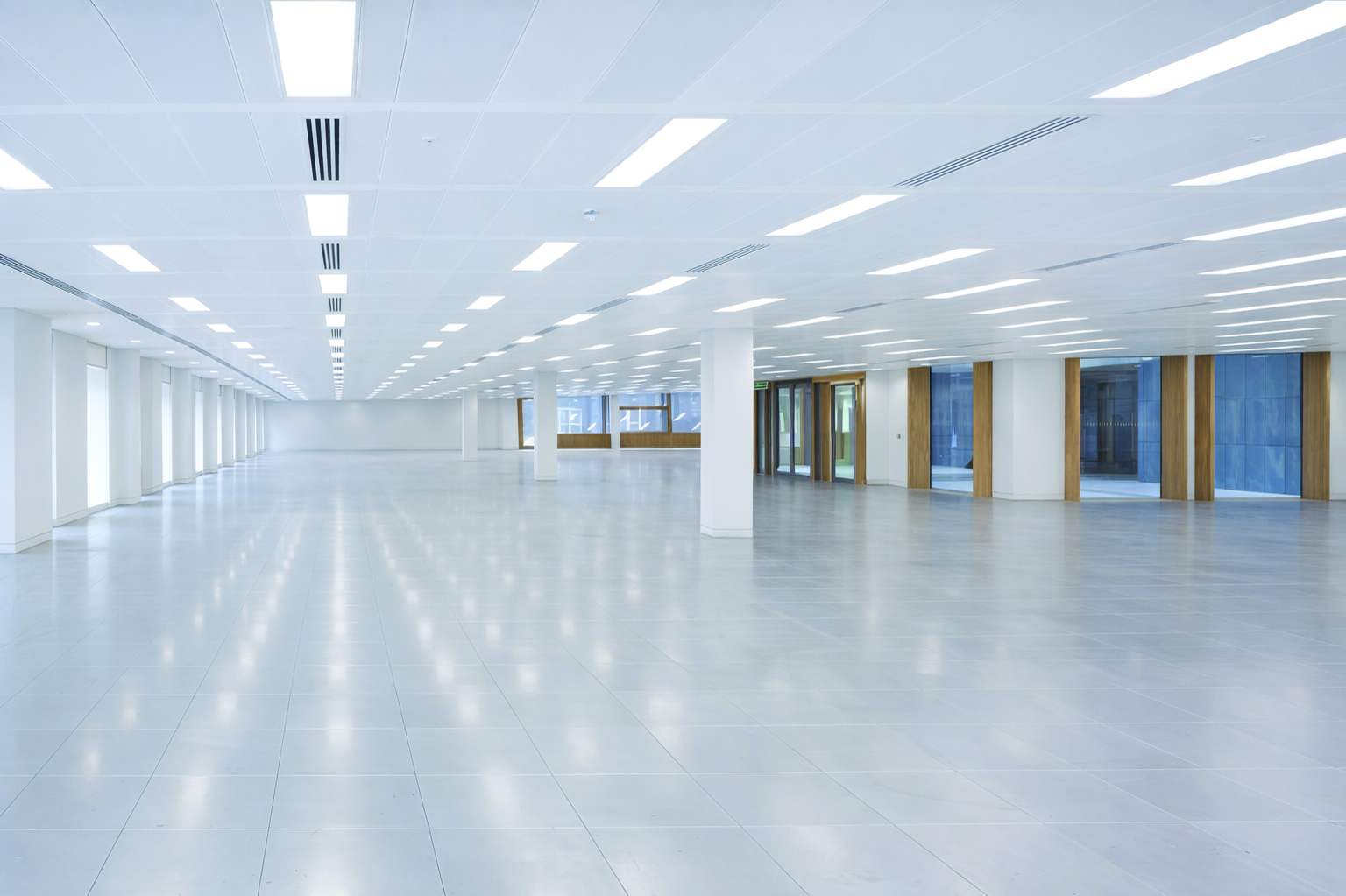 True Light Project 8